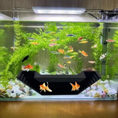 Aquarium Aquarien Garnelenhöhle Verbreitert Rutschfest Boden Stufen Aquarium Tunnel