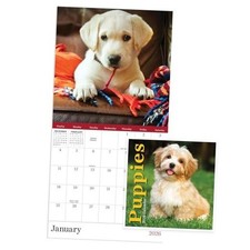 2026 Puppies Mini Calendar with Monthly Grids for Appointments and Scheduling