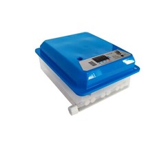 Egg Incubator 36 eggs 110V Bird Supplies