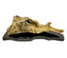 Driftwood Art Sculpture Troll Face Signed Rayvona  2012