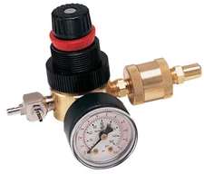 Air/Water Regulator With Filter Assembly