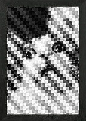 scared cat Framed Wall Art Poster Canvas Print Picture