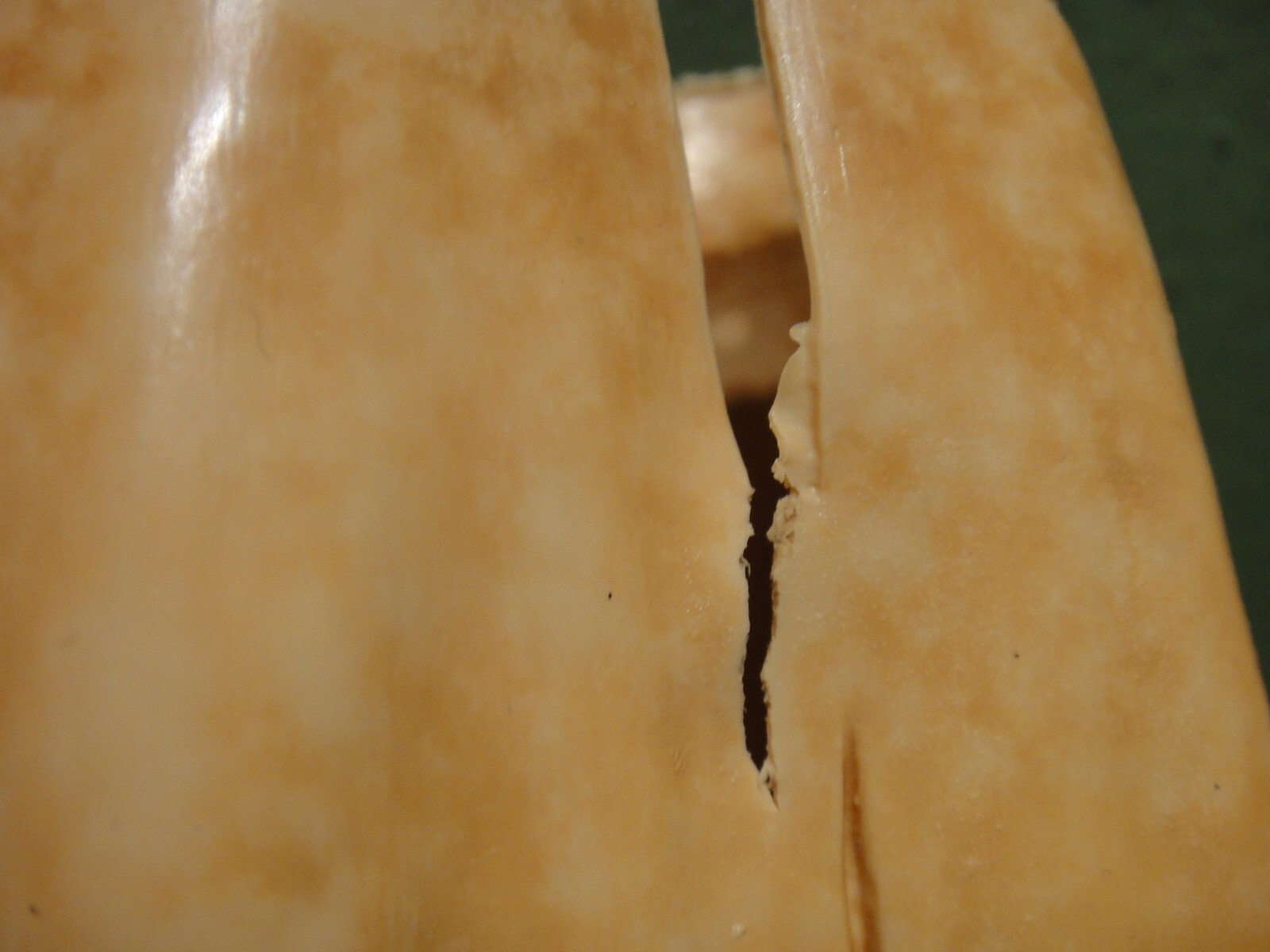 Picture 6 of 20