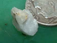GOLD QUARTZ SPECIMEN .6 GRAM CALIFORNIA GOLD AND QUARTZ