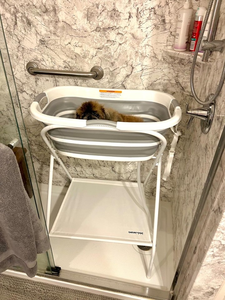 2 in 1 Dog Bath Tub Dog Washing Station for Bathing and Grooming