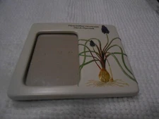 Hyacinthus Racemosus Starch Hyacinth Picture Frame Ceramic Bulb Flower Spring