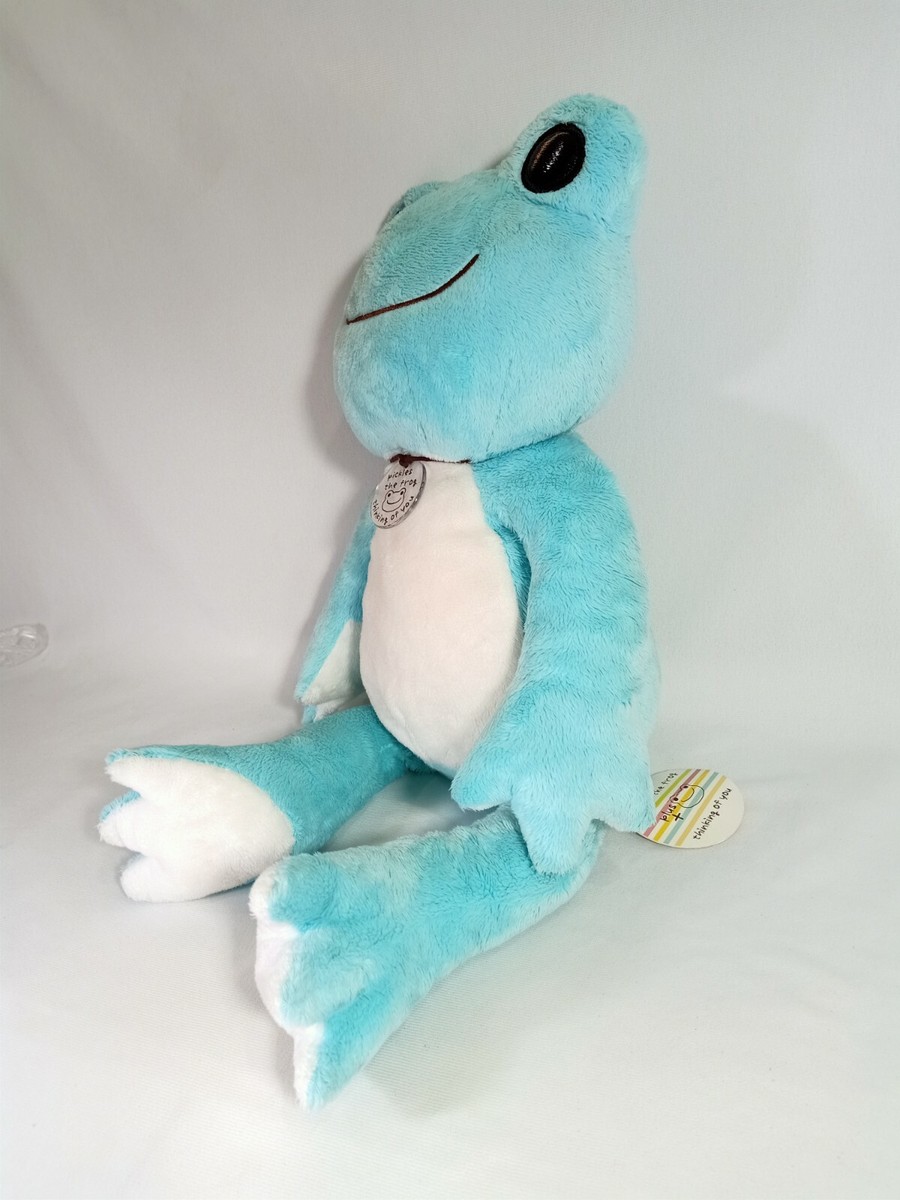 ふくくみ Pickles the Frog ぬいぐるみ 2体セット pickles the frog 20CM PLUSH – LINE FRIENDS SQUARE