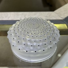 NEW Lalique Cactus Covered Box- Signed 1136700