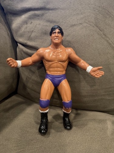 Vintage 1984 Titan Sports WWF WWE LJN Wrestling Su...