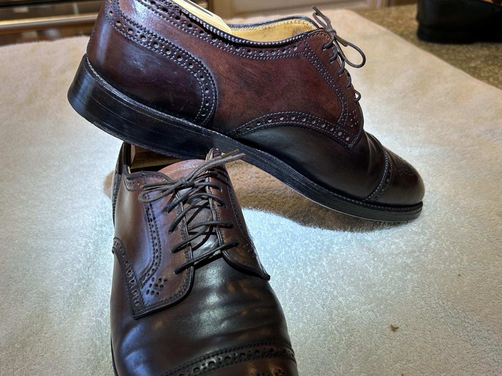 Alden 2145 Color 8 Shell Cordovan Medallion Tip Blucher
