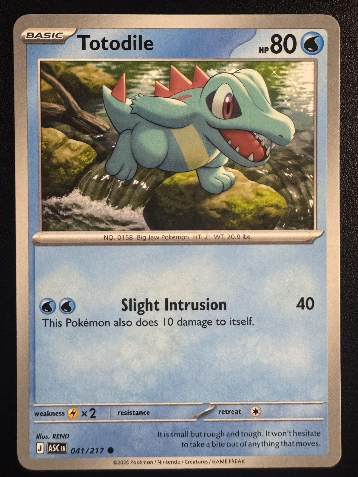 Totodile 041/217 Common Ascended Heroes Pokemon Near Mint