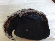 Jack McConnell New York, Black, Real Feather Hat, Women s Cap Excellent