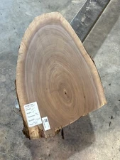 Black Walnut Slab #1929, live edge slab, unfinished, free shipping