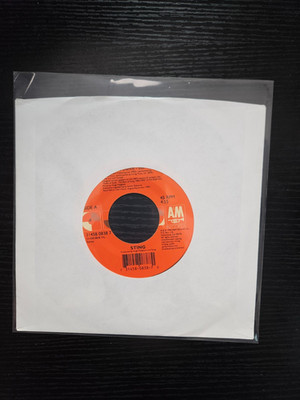 45 RPM Vinyl Record STING / Fields Of Gold / When WE Dance