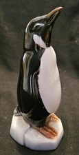 Porcelain Penguin M. Requena , Valencia , Spain