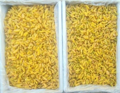 Goldene Sultan-Rosinen 5 kg / Großpackung für Backwaren, Snacks & Industrie