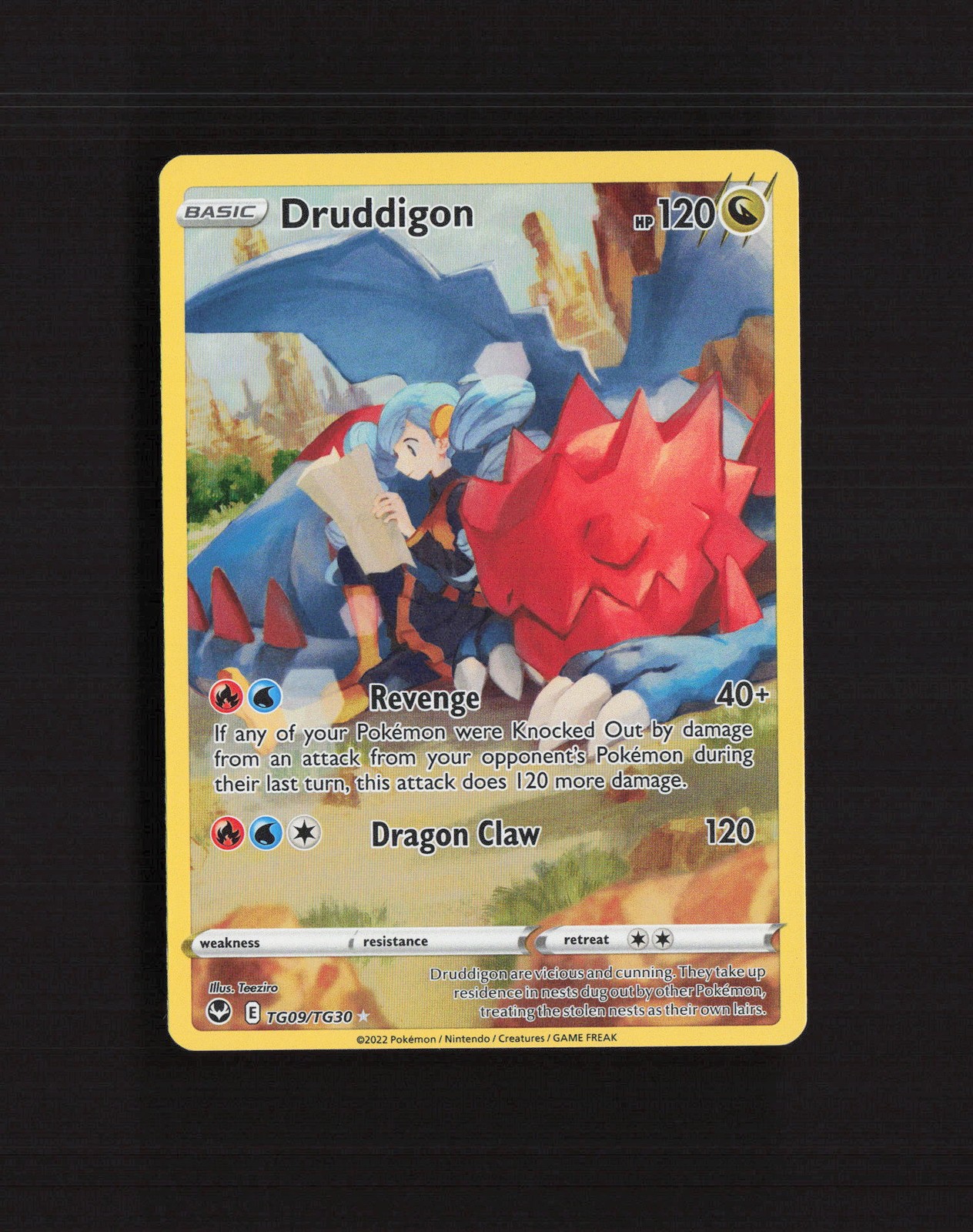 Druddigon TG09/TG30 Silver Tempest Full Art Pokemon Card NM