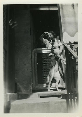 ANTIQUE PHOTO - VINTAGE SNAPSHOT - ANIMAL DOG MAKES BEAUTIFUL FUNNY - DOG FUNNY