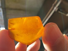 Natural real Baltic amber  4.6 g yellow stone charm pendant gemstone gems 23 TCW