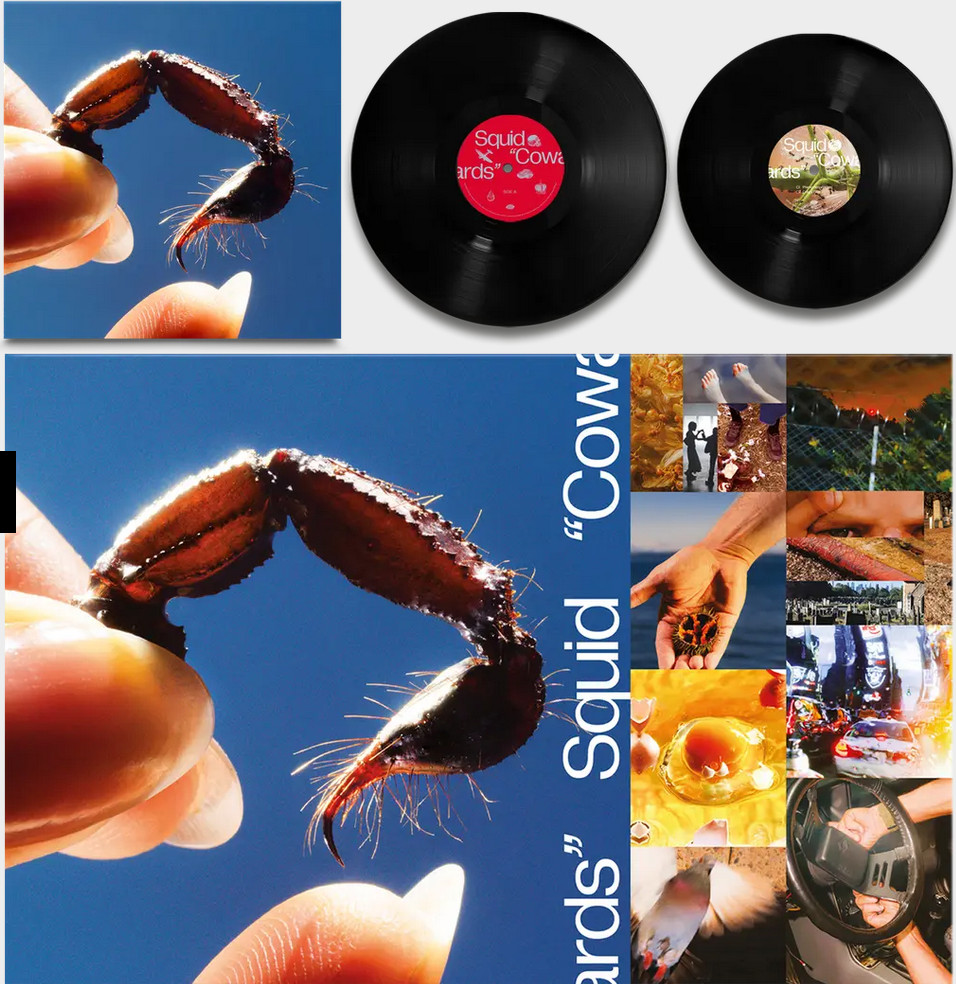 Squid - Cowards - BLACK Vinyl LP, Brand New & Sealed! (Warp Records)