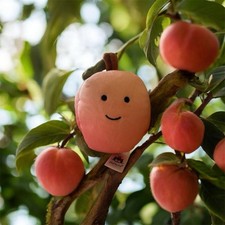 AUTHENTIC   Jellycat fabulous fruit peach- NWT Retired- SHIPS SAME DAY 