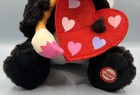 Bild 6 von 12