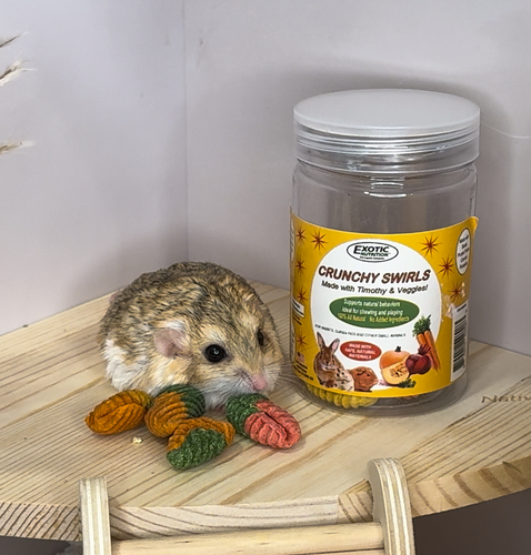 Corner Riser Platform - Durable Wooden Platform for Hamsters, Degus, Gerbils - Picture 4 of 12