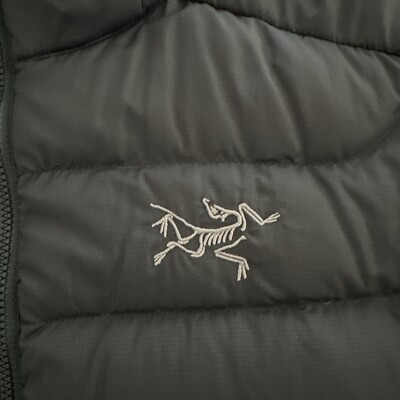 激レア Arc'teryx 星条旗パッチ Arc`teryx Patch | eBay