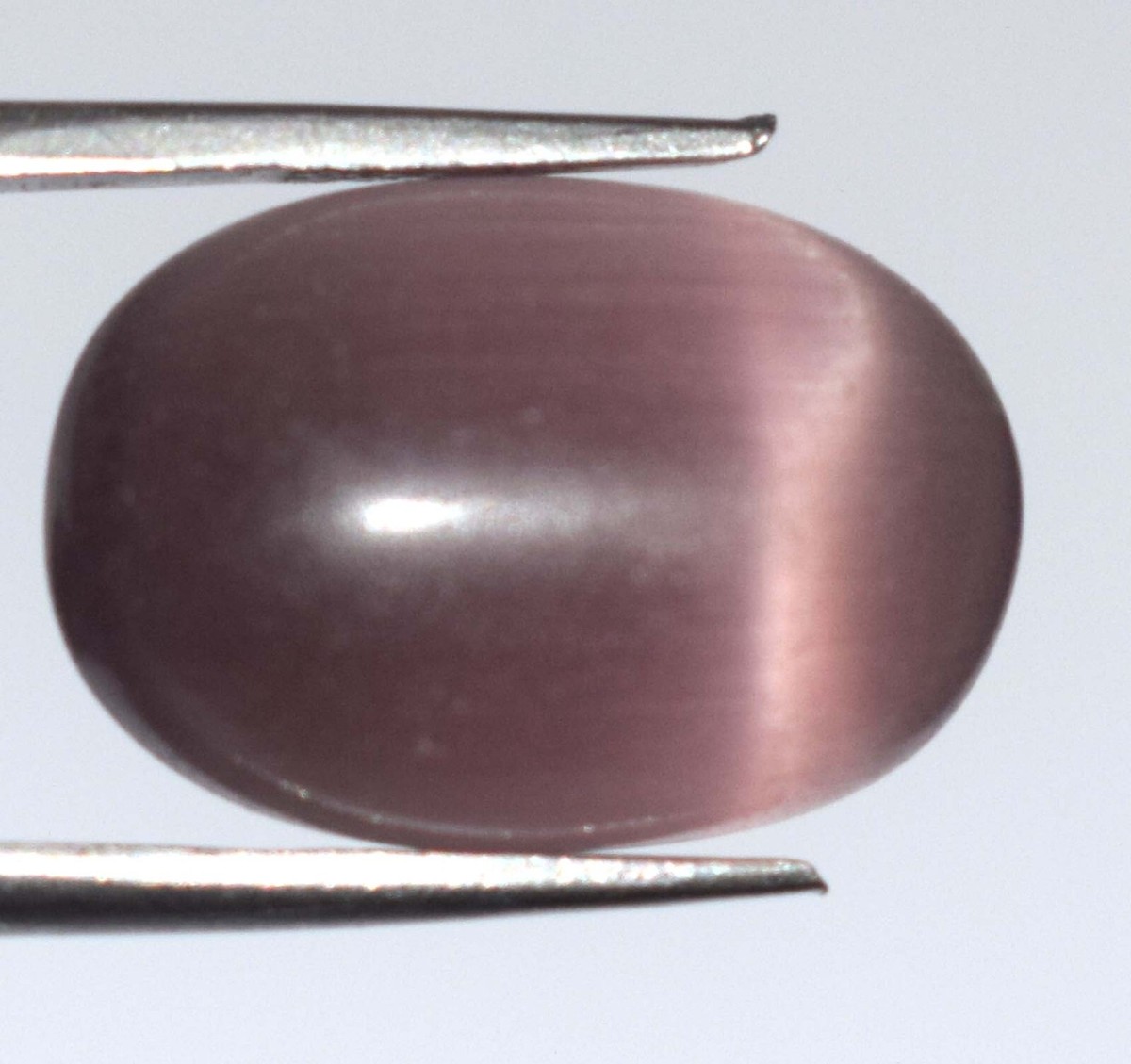 Natural Oval Purple Cat's Eye Gemstone 12.95 Ct Certified B63710
