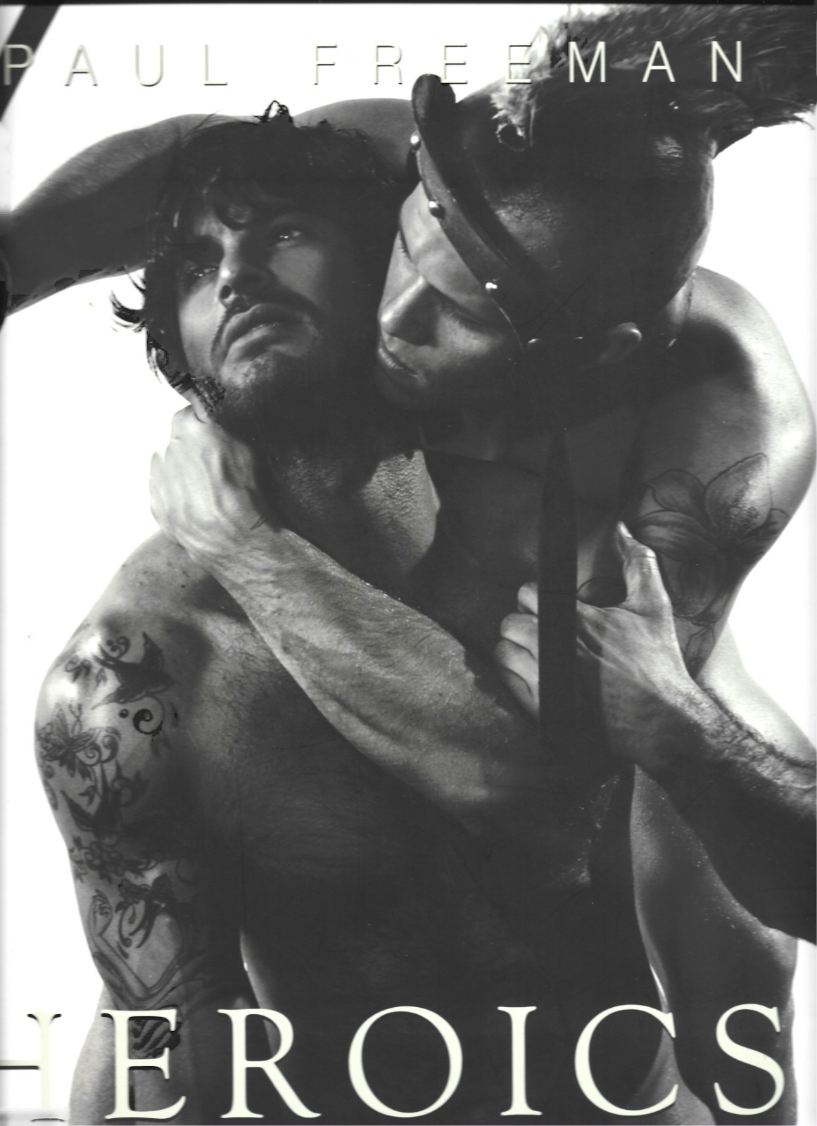 HEROICS Paul Freeman Gay Male Interest 2011 LGBTQ Hardcover Book Impossible Find