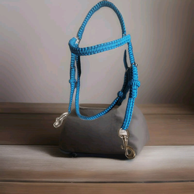 Maßgefertigte handgefertigte Trense. Shetland Größe Aqua Blau (jede Größe/Farben hergestellt)