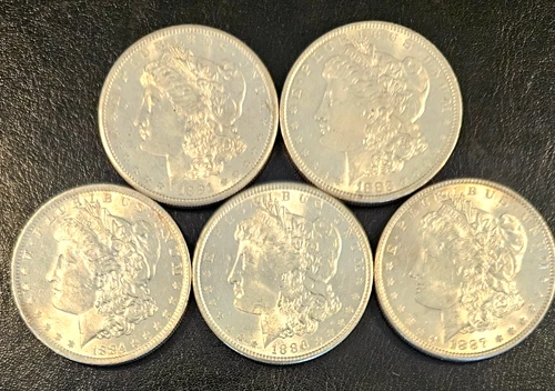 Gorgeous Set of 5 Different 1881-1887 Morgan Silver Dollars, BU Collector Lot