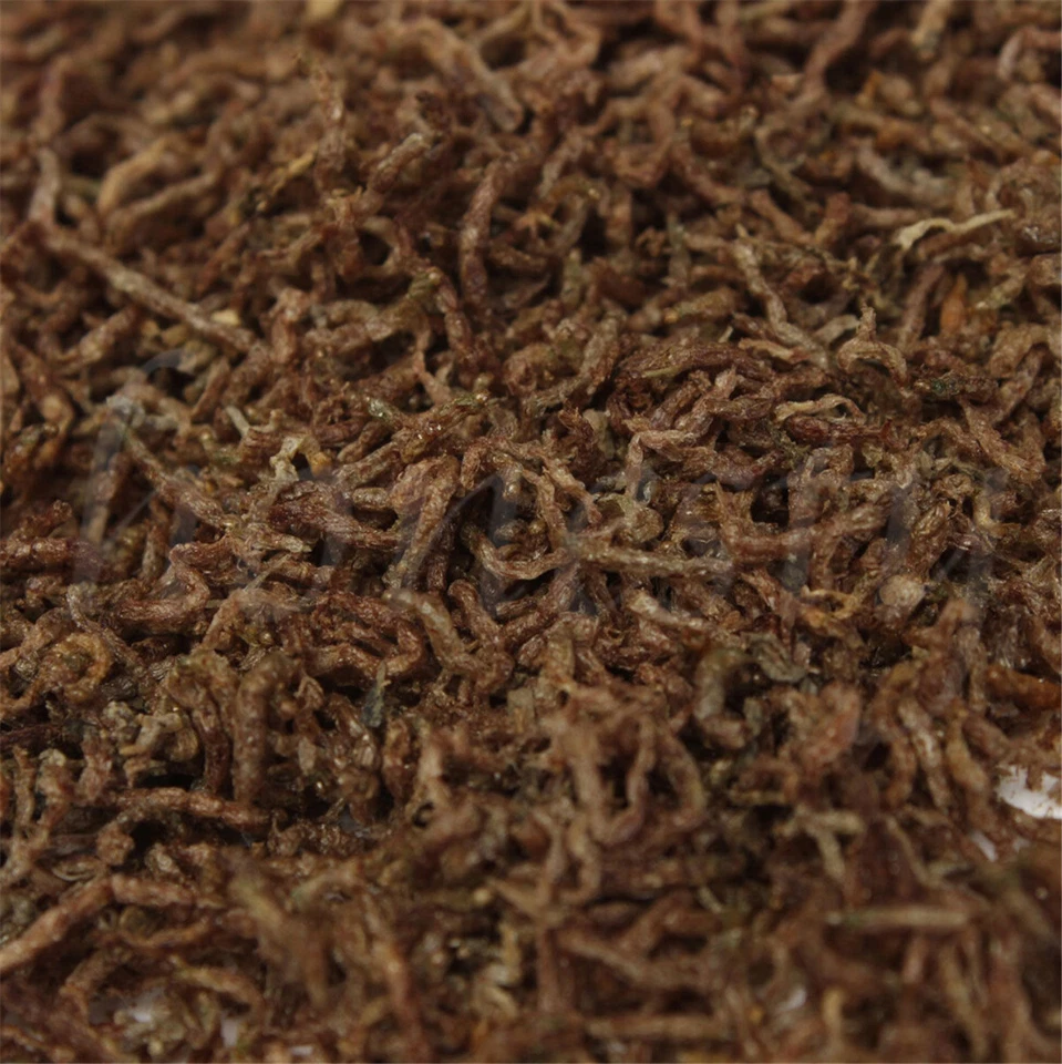 60-200g Freeze Dried Blood Worm Fresh Tropical Fish Discus Food Feeding - image 3 of 4