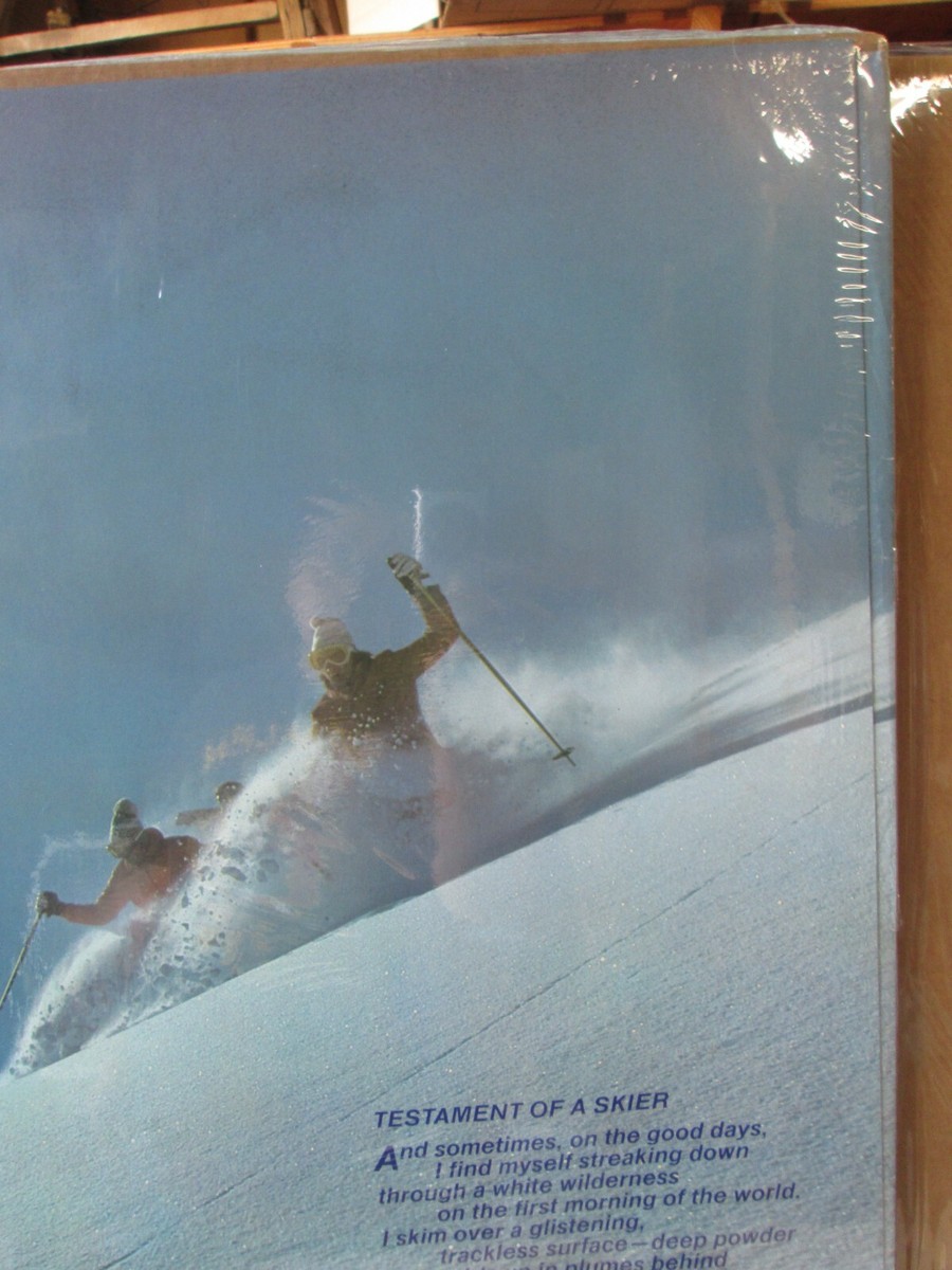 testament of a Skier Hang ten vintage poster snow ski 15583 | eBay