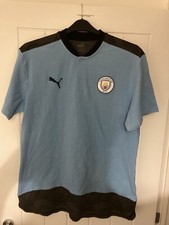Puma Manchester City 2019/20 Pique Cotton T-shirt (XL)