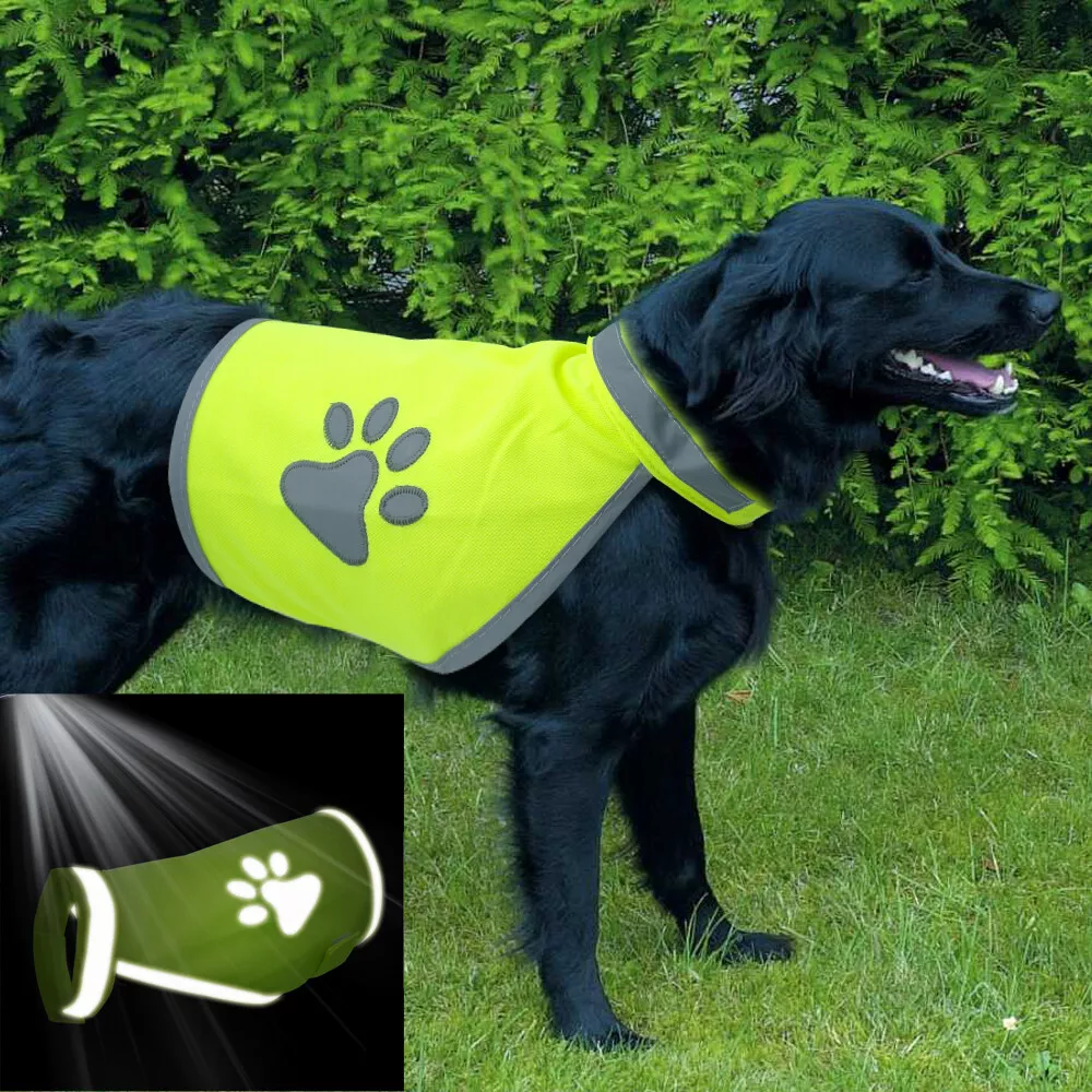 High vis dog clearance coat