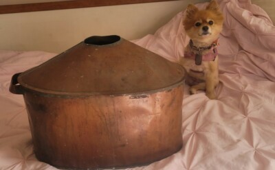 Antique Vintage Copper Moonshine Still Pot 19x10x15