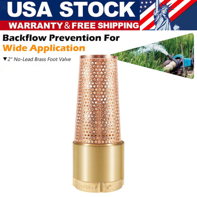 2 Inch Foot Valve With ZEBRA MUSSEL Strainer, No-Lead Brass Foot Valve