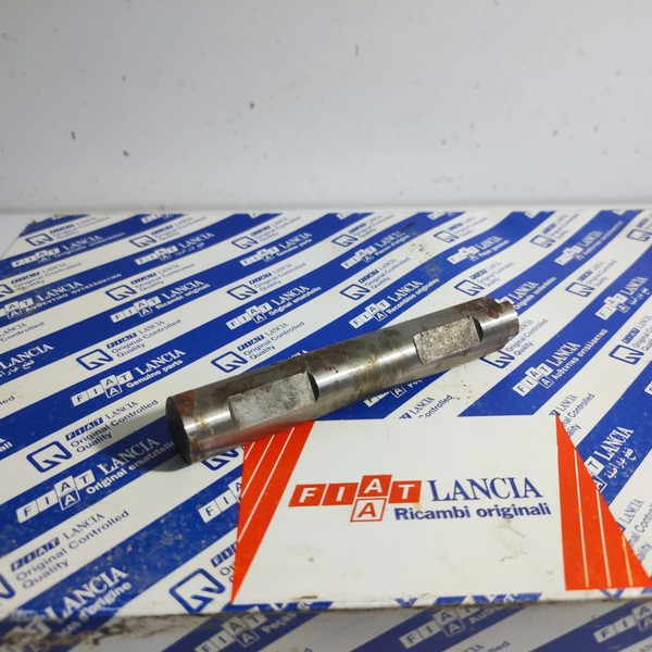 Differenzial-Pendelschraube Fiat Ducato 4X4 Original 95648559-image