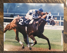 Huge 16x20 Photo, Secretariat Wins Belmont Stakes, Signed by Ron Turcotte, COA