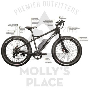 fat bikes ebay