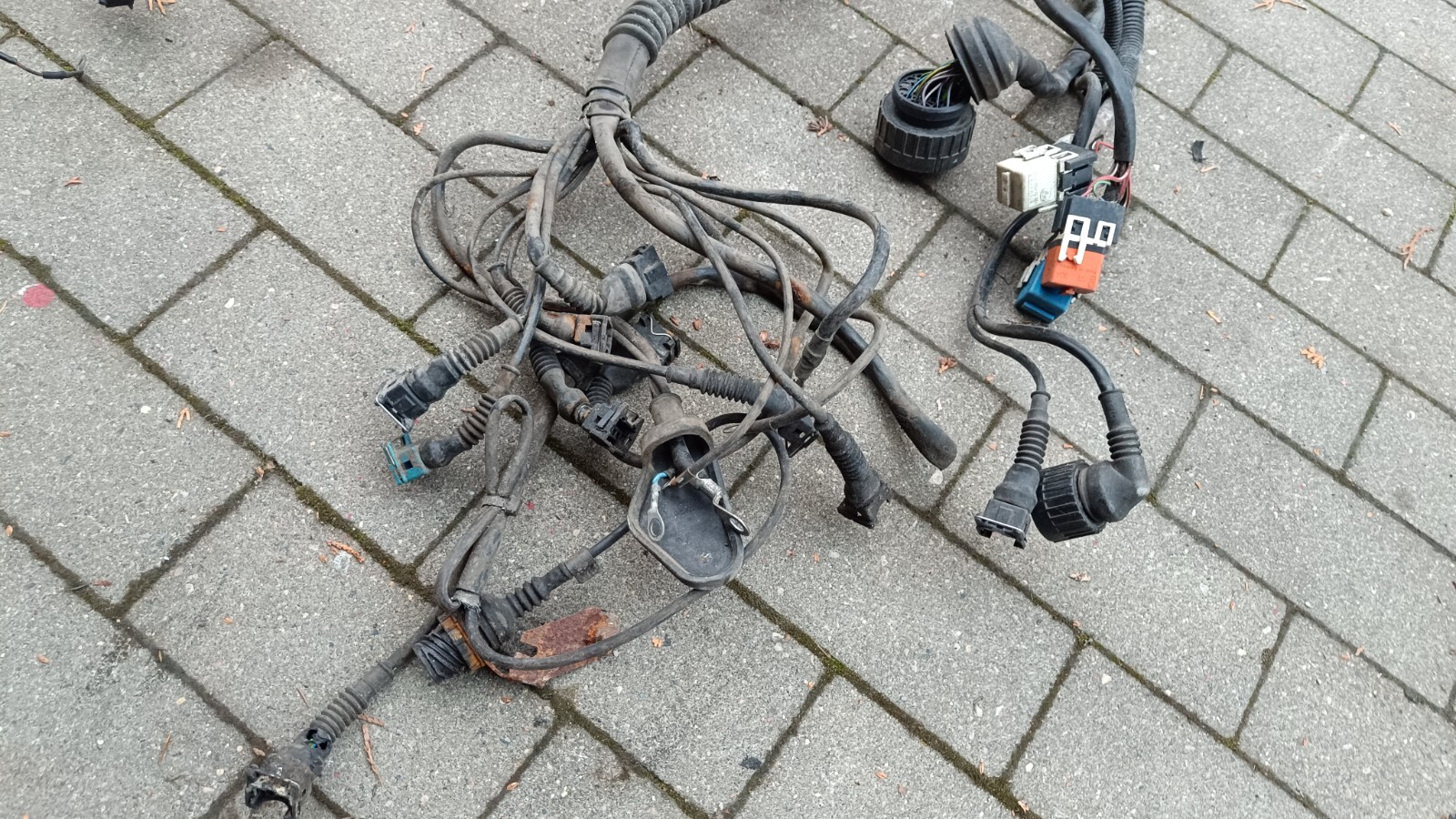 Bild 2 von 8