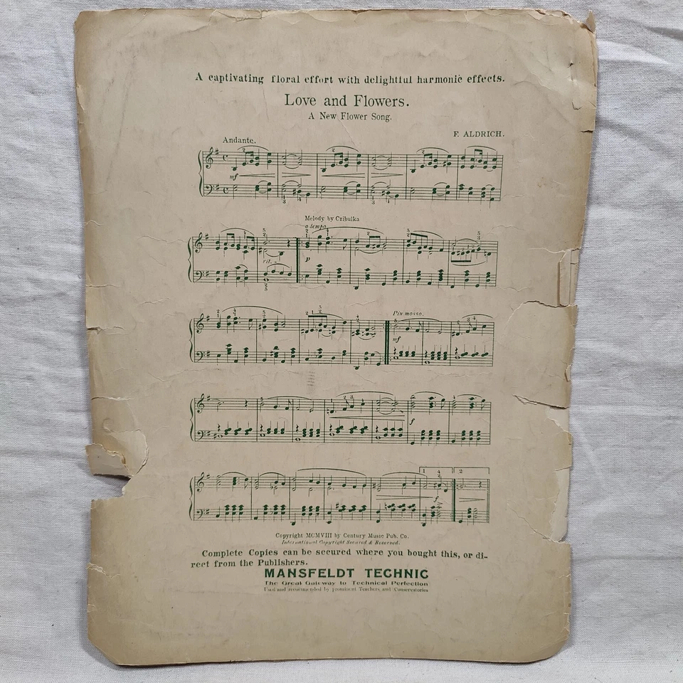 Partituras antiguas raras de 1908 "Woodland Echoes" de A. P. Wyman op 34 Foto 2 de 4