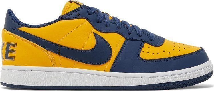 Nike Zoom Terminator Low Syracuse for Sale | Authenticity