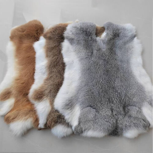 5PCS Real Natural Rabbit Skin Pelts Fur Hides Soft Leather Mats Tanned Craft DIY - Afbeelding 1 van 12