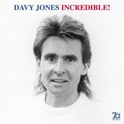 Incredible - Davy Jones (Audio Cd)