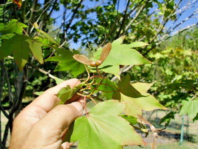 Bild 2 von 7