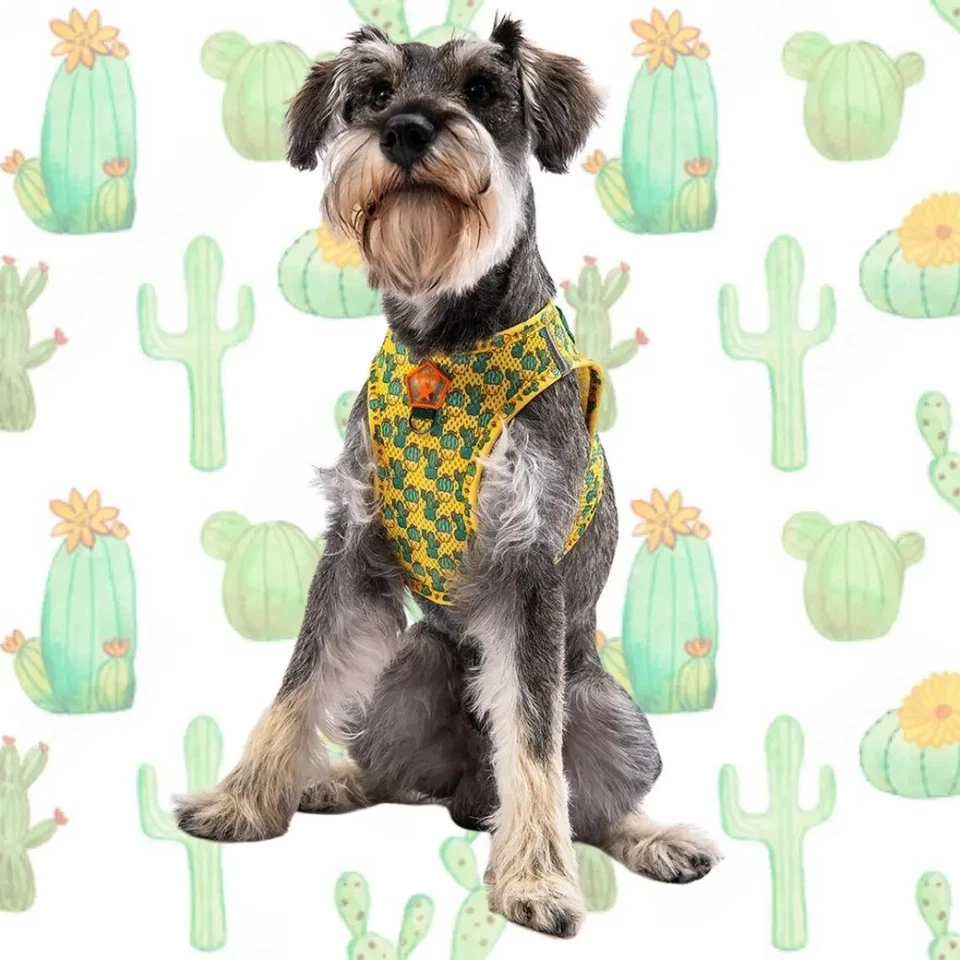 Reflective Cactus Dog Harness – Breathable, Easy-On, Adjustable, XS - Image 3 of 4