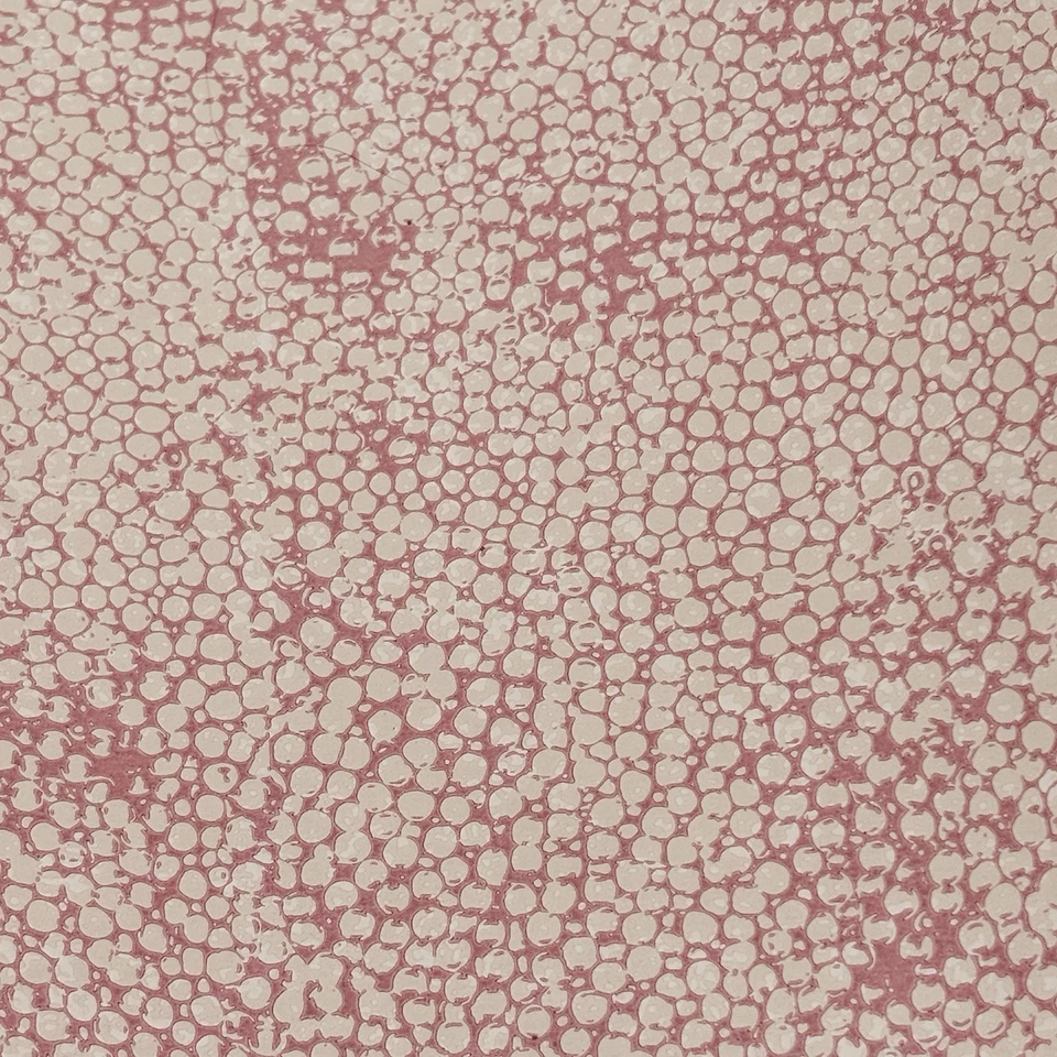 Osborne & Little Wallpaper Salmon Color W Cream Dots 4 Rolls 20.5”x11yd & 1 Open - Image 2 of 4