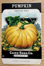 PUMPKIN KENTUCKY FIELD CARD SEED CO. PACKET FREEDONIA N.Y.